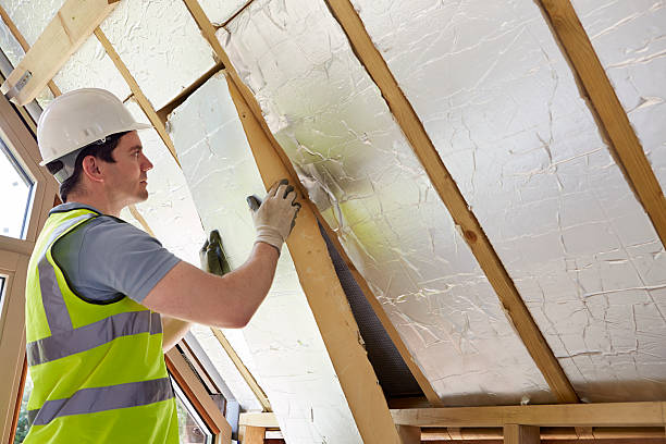 Best Crawl Space Insulation  in Tuntutuli, AK