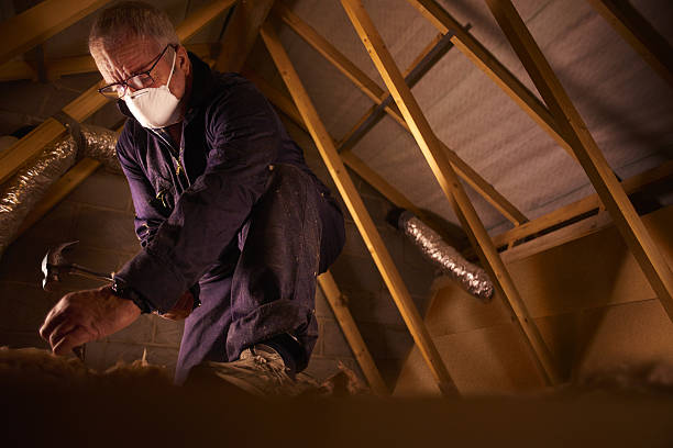 Best Insulation for Commercial Buildings  in Tuntutuli, AK